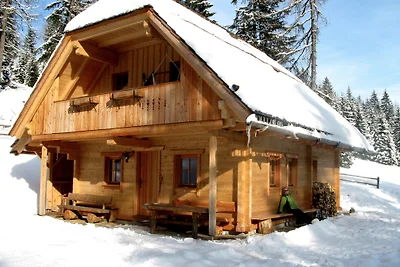 Alm Chalet Wurzelhütte