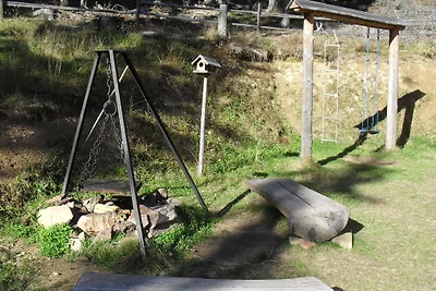 Alm Chalet Wurzelhütte