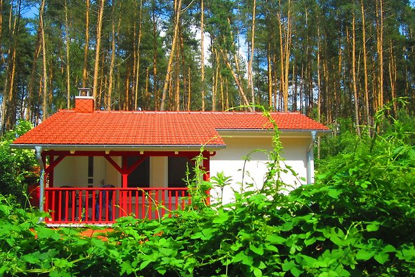 Ferienhaus Dobbertin