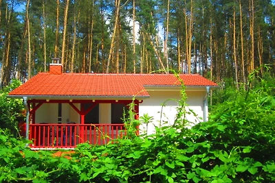 FH Dompfaff mit Boot & Steg am See