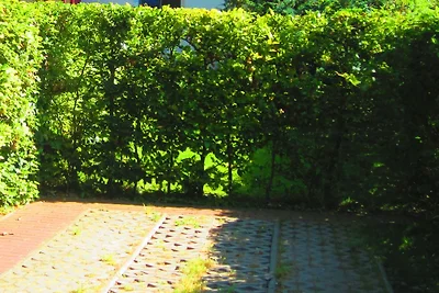 FH Dompfaff mit Boot & Steg am See