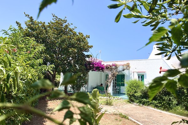 Casa vacanze Marina di Ostuni