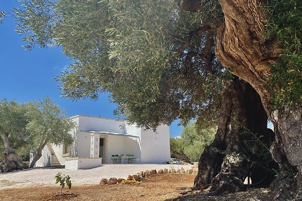 Ferienhaus Ostuni
