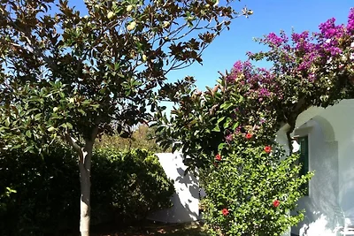 Villa delle Bougainvillée