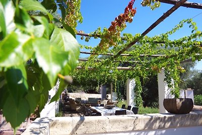 Villa Mediterranea (Lusso)