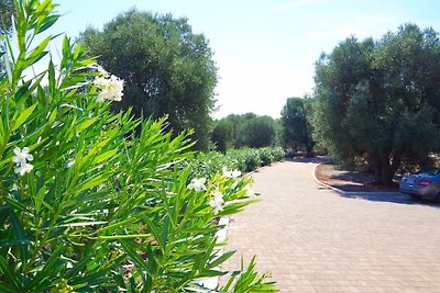 Villa Mediterranea (Lusso)