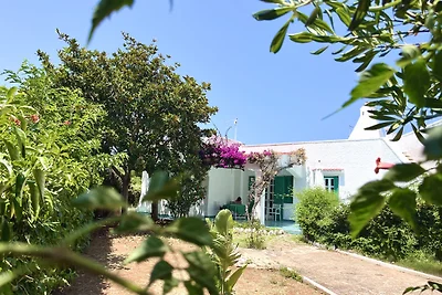 Villa delle bougainvillée