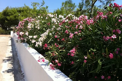 Villa delle Bougainvillée