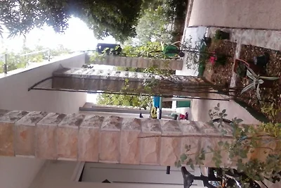  Maslenica  Ivana Rončeviča 55