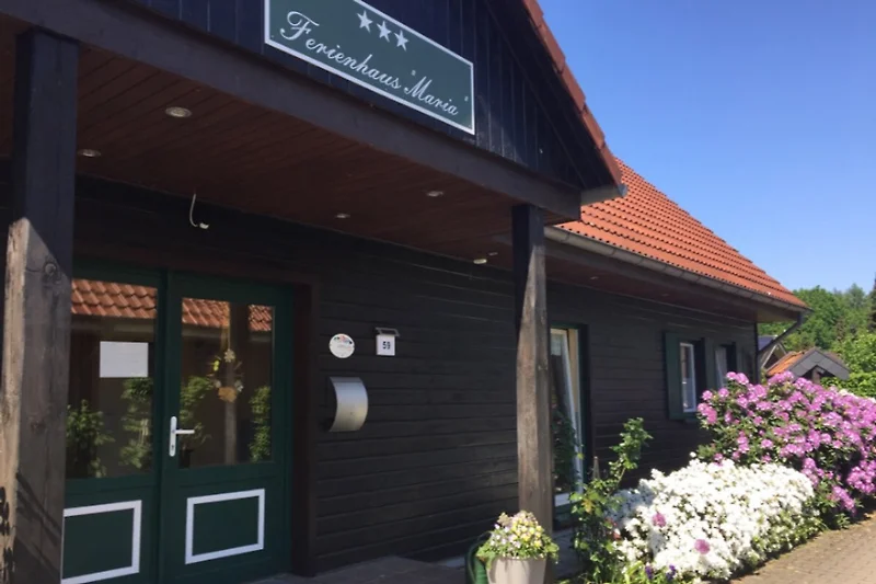 Eingangsbereich mit Blumen und Einfahrt am Haus.