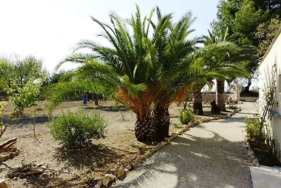 Ferienfinca Son Roser