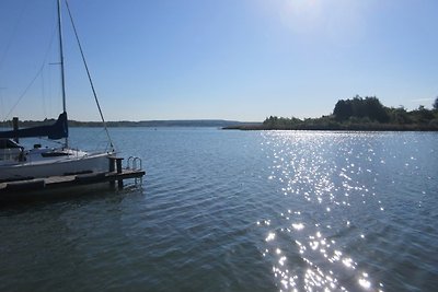 Maison Seepferdchen Hainer See
