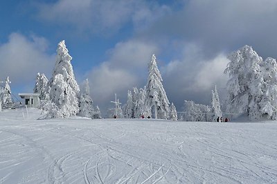 Pfenniggeiger Hut