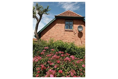 Ferienwohnung Neu Karin 2