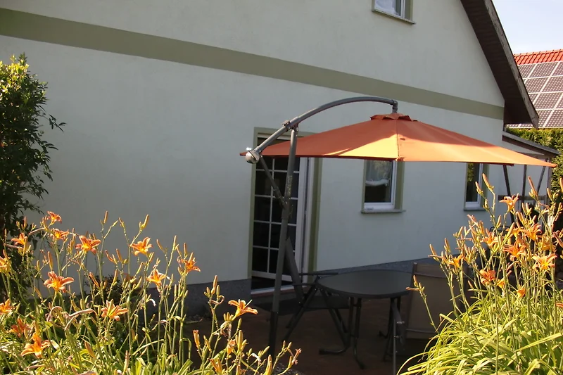 Terras