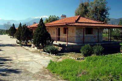 Vakantiehuis Ontspannende vakantie Agios Andreas
