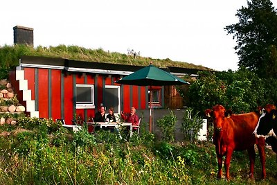 Casa de vacaciones en el Mar Báltico cerca de Gelting