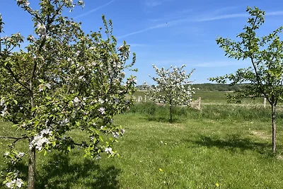 Ferienhaus Gräning