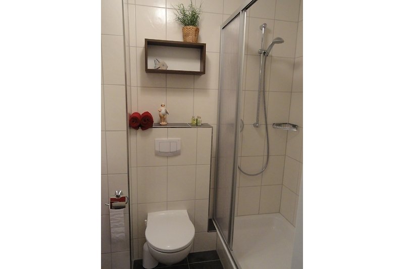 Ein modernes Badezimmer mit Dusche, Toilette, gefliester Ablage und Regal