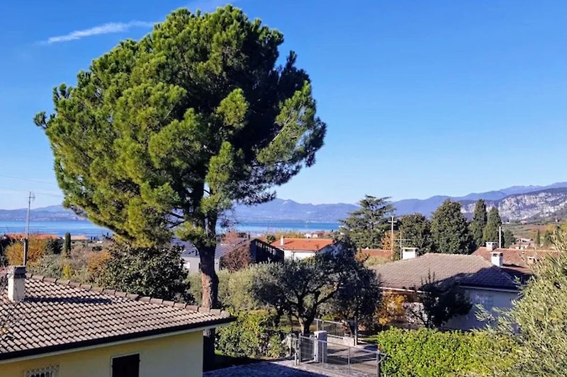 Seeblick vom Balkon mit Punta San Vigilio und Rocca del Garda am Mittag