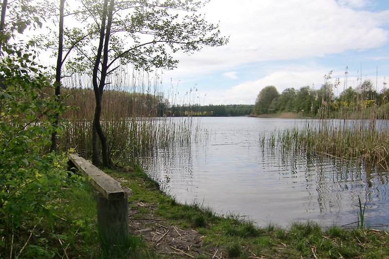 Jezioro Bolzsee