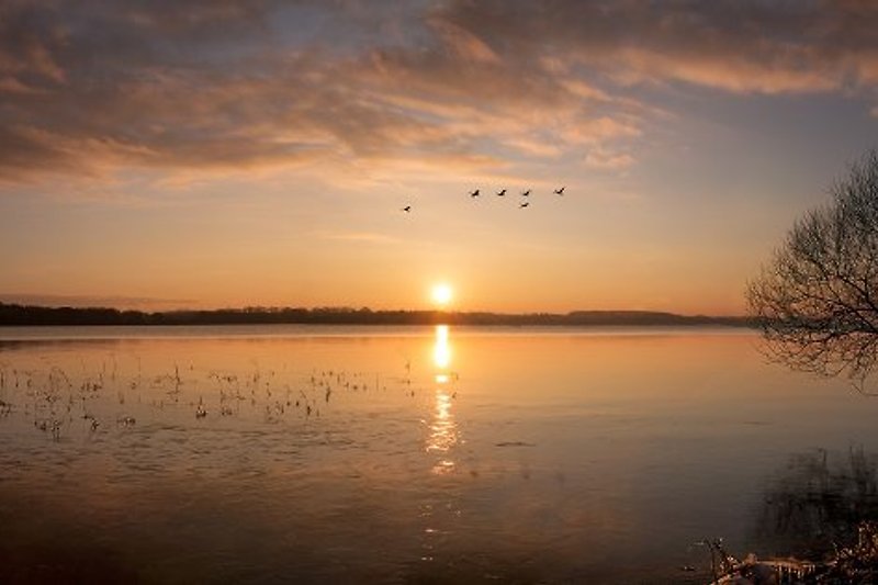 Die zahlreichen glasklaren Seen laden zum Baden und Wasserwandern ein - Sonnenaufgangsstimmung am Schweriner See