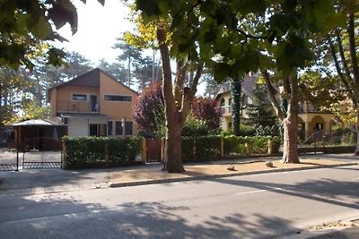 APPARTEMENT BELA