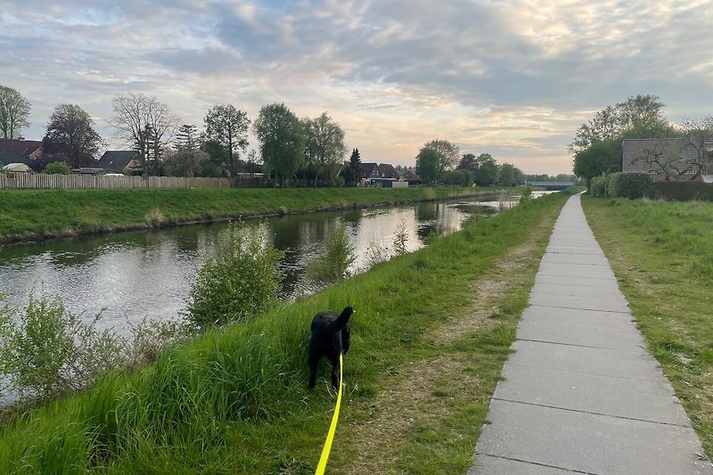 Spaziergang mit Hund am Randkanal (ca.500m von der Wohnung)