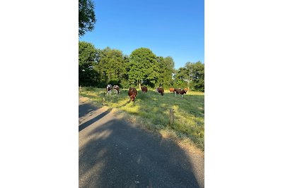 Fahrrad- Land& Meer