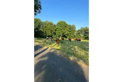 Fahrradland& Meer