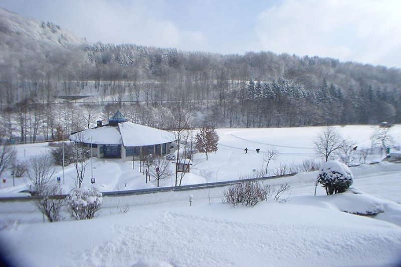 Winteraussicht vom Haus in den Stryckpark (Loipen)