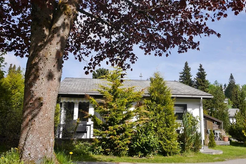 Ferienhaus "Free Willi"