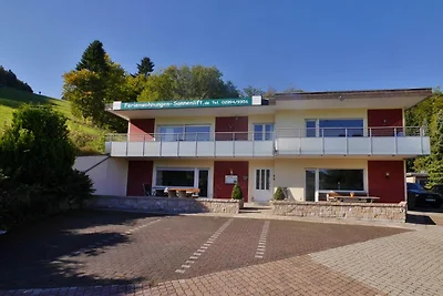 Quartier12 "Ski in & Bike out" - Fewo HANG