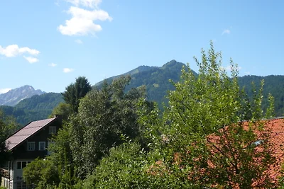 Komfort-FEWO ALLGÄUBLICK****