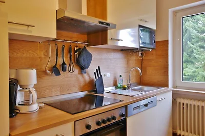 Quartier12 "Ski in & Bike out" - Fewo ZEIT