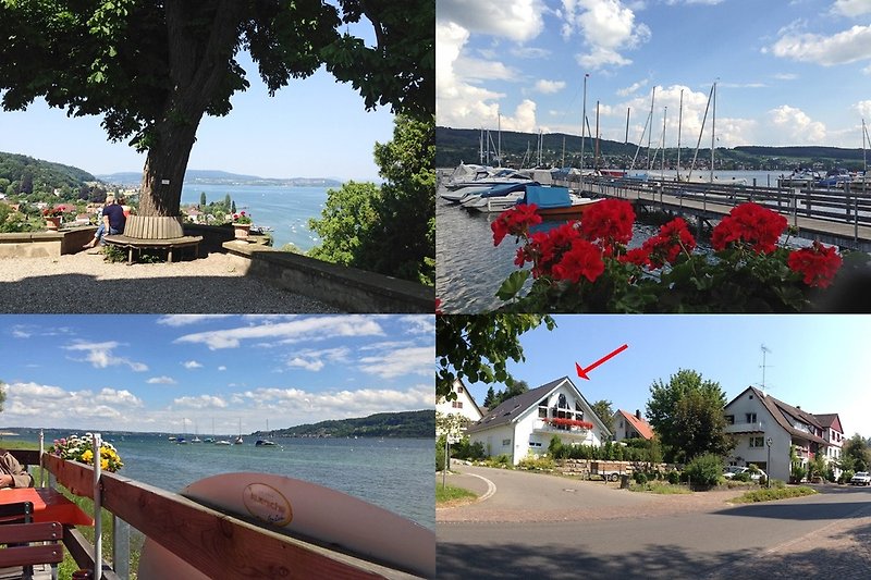 Blick auf die Höri vom Schweizer Ufer (ob. li.), Strandcafe bei uns am See (re. oben + li.unten), unser Haus (re. unten)
