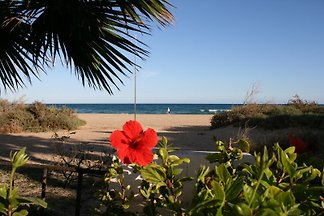 Strandstudio unter Palmen