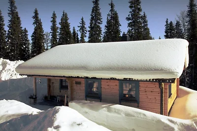 Moderna casetta di legno nello Jämtland
