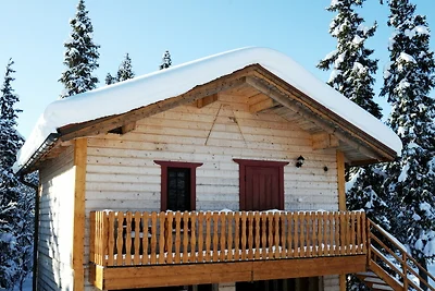 Ferienwohnung in Jämtland