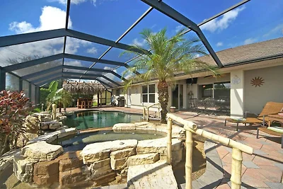 CCVS - Tropical Dream