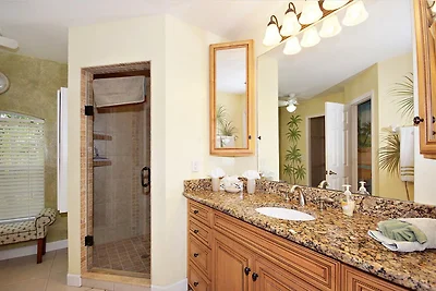 CCVS - Tropical Dream