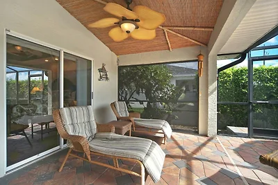 CCVS - Tropical Dream