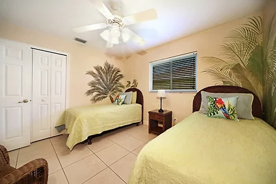 CCVS - Tropical Dream