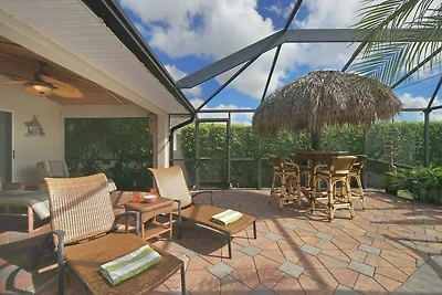 CCVS - Tropical Dream