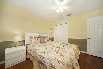 CCVS - Tropical Dream