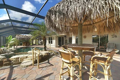 CCVS - Tropical Dream