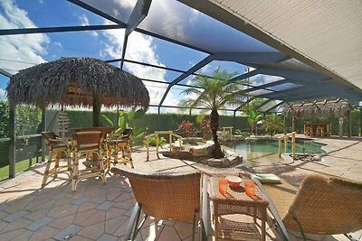 CCVS - Tropical Dream