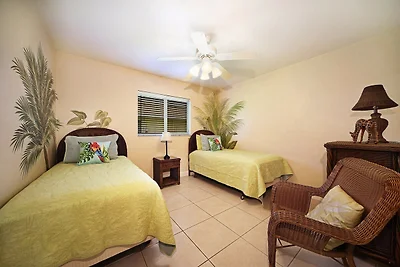 CCVS - Tropical Dream