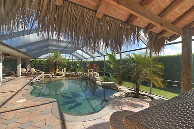 CCVS - Tropical Dream