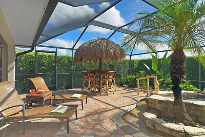 CCVS - Tropical Dream